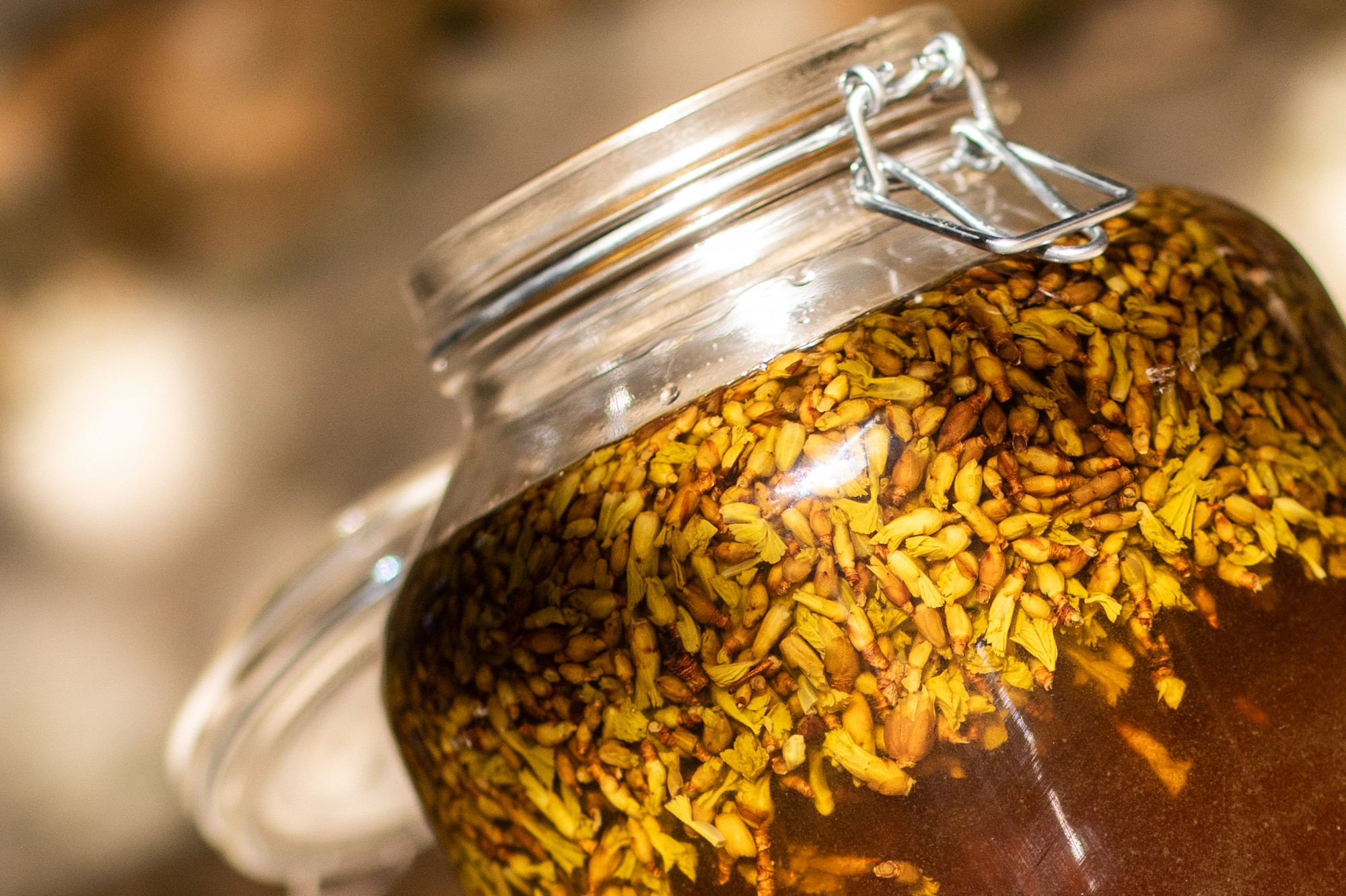 Decouvrez la distillation Schwarze Johannisbeere bio Knospenmazerat 100% Bio und Handgemacht
