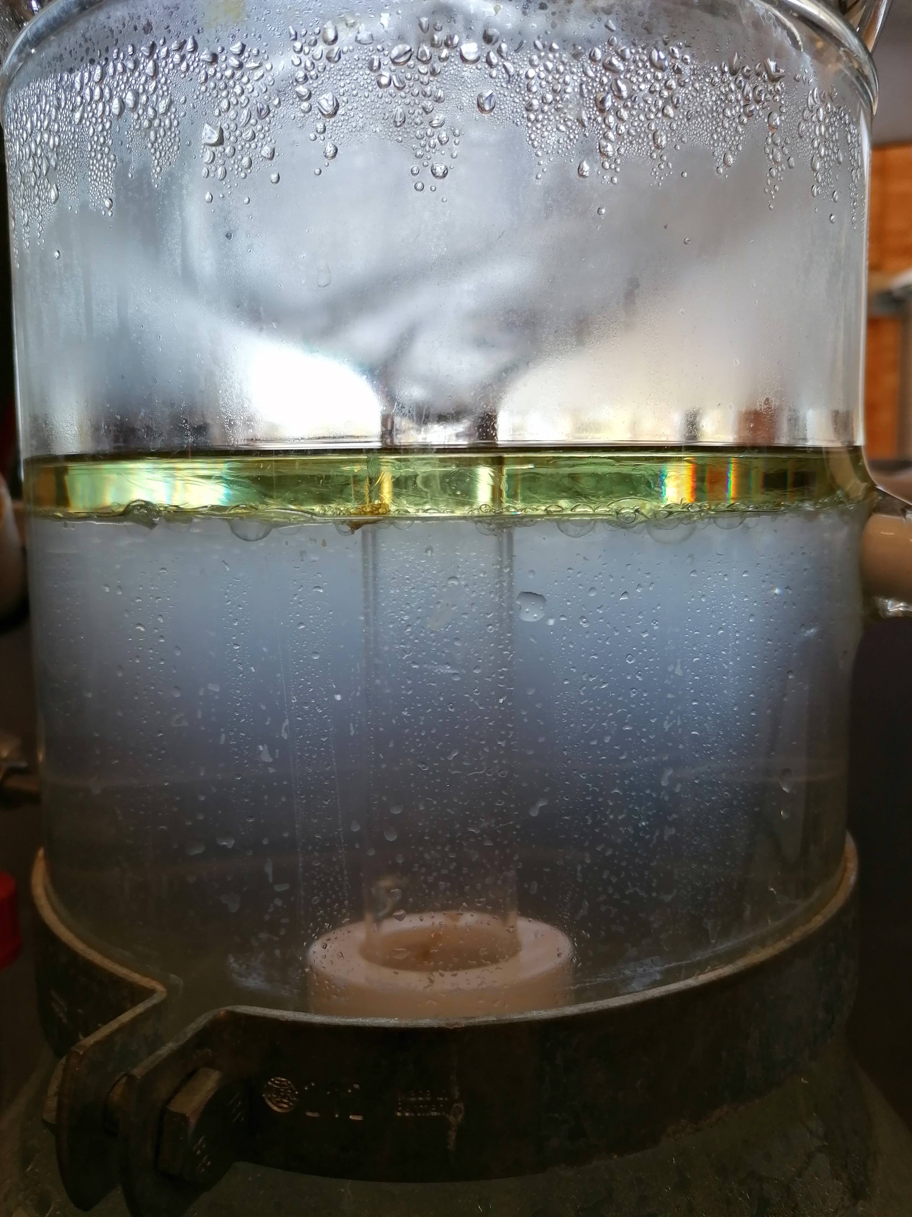 Decouvrez la distillation Hydrolat aus Atlaszeder 100% biologisch und handwerklich hergestellt