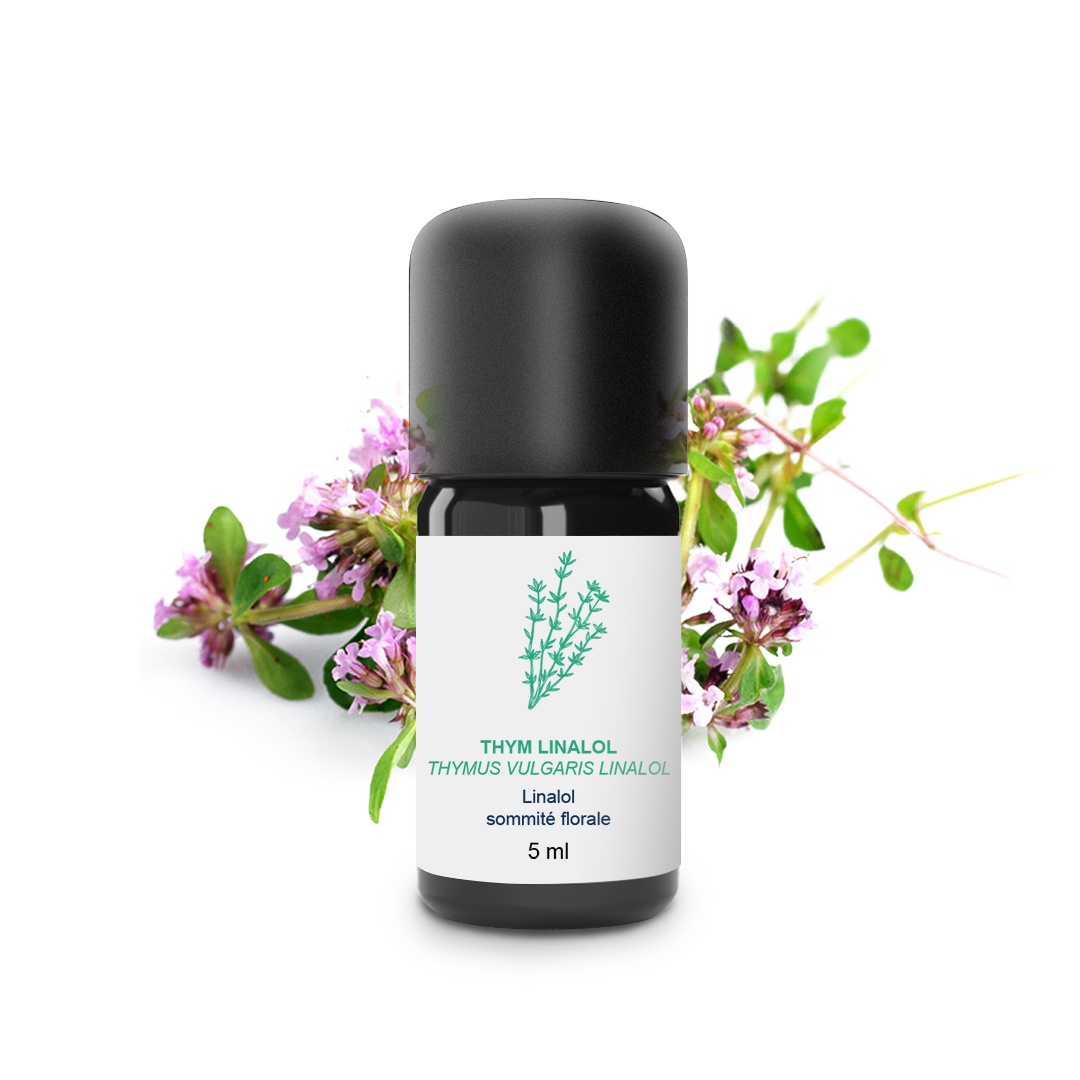 Ätherisches Öl aus Thymian Linalol 100% Bio und handwerklich hergestellt