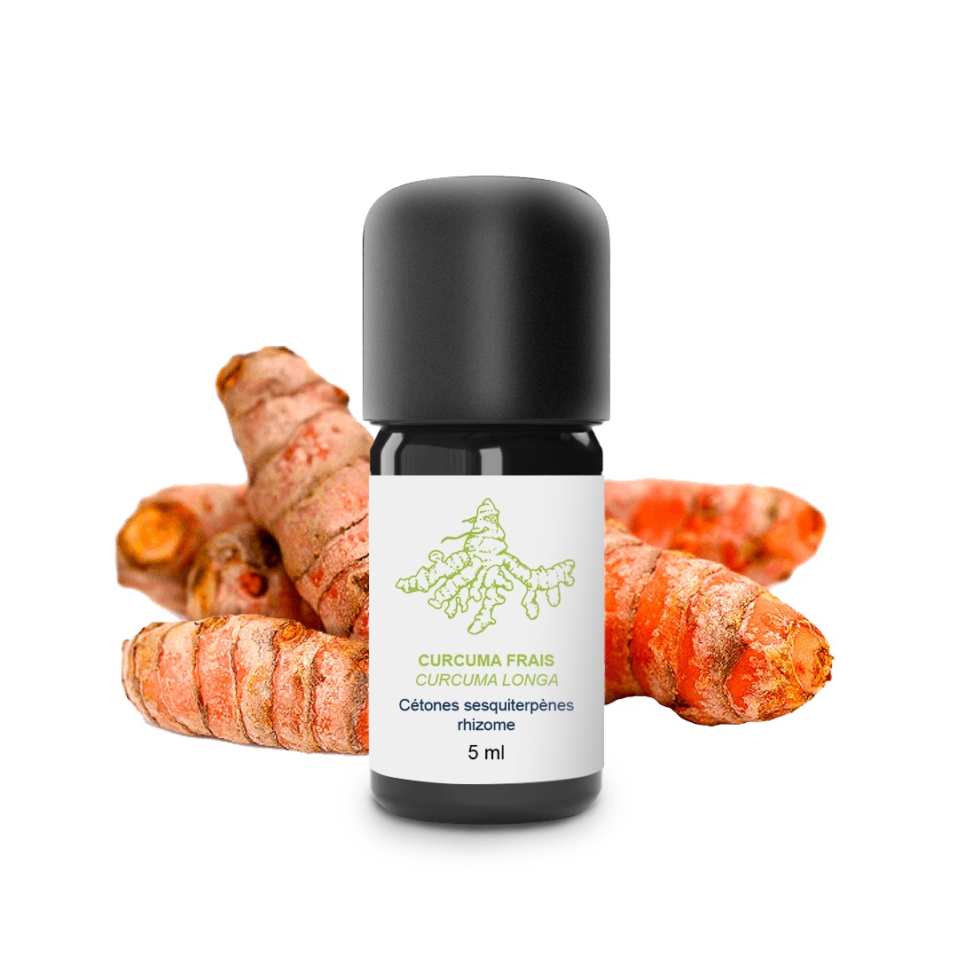 Ätherisches Öl aus Kurkuma Rhizom 100% Bio und handwerklich hergestellt