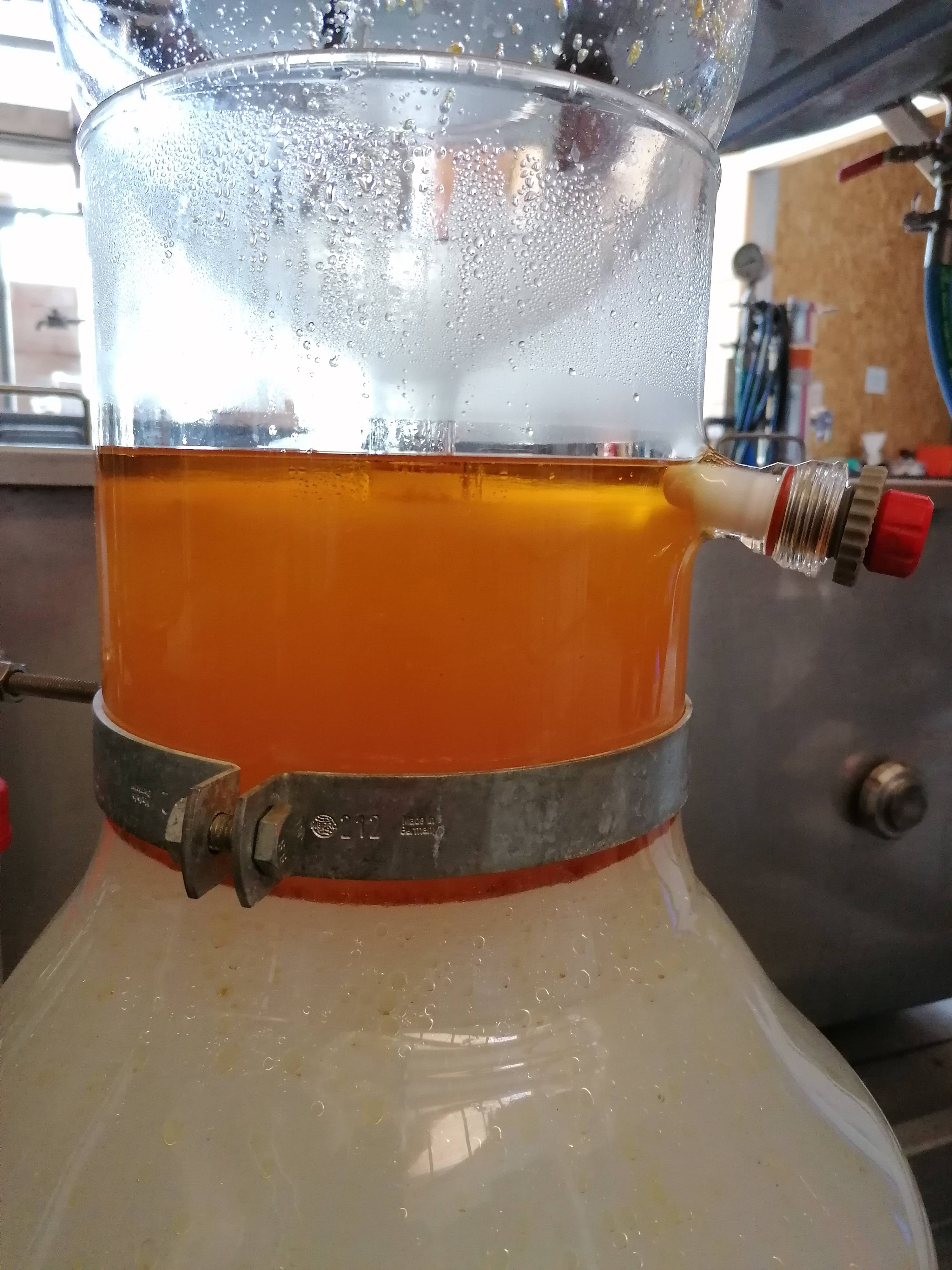 Die Destillation von Oregano