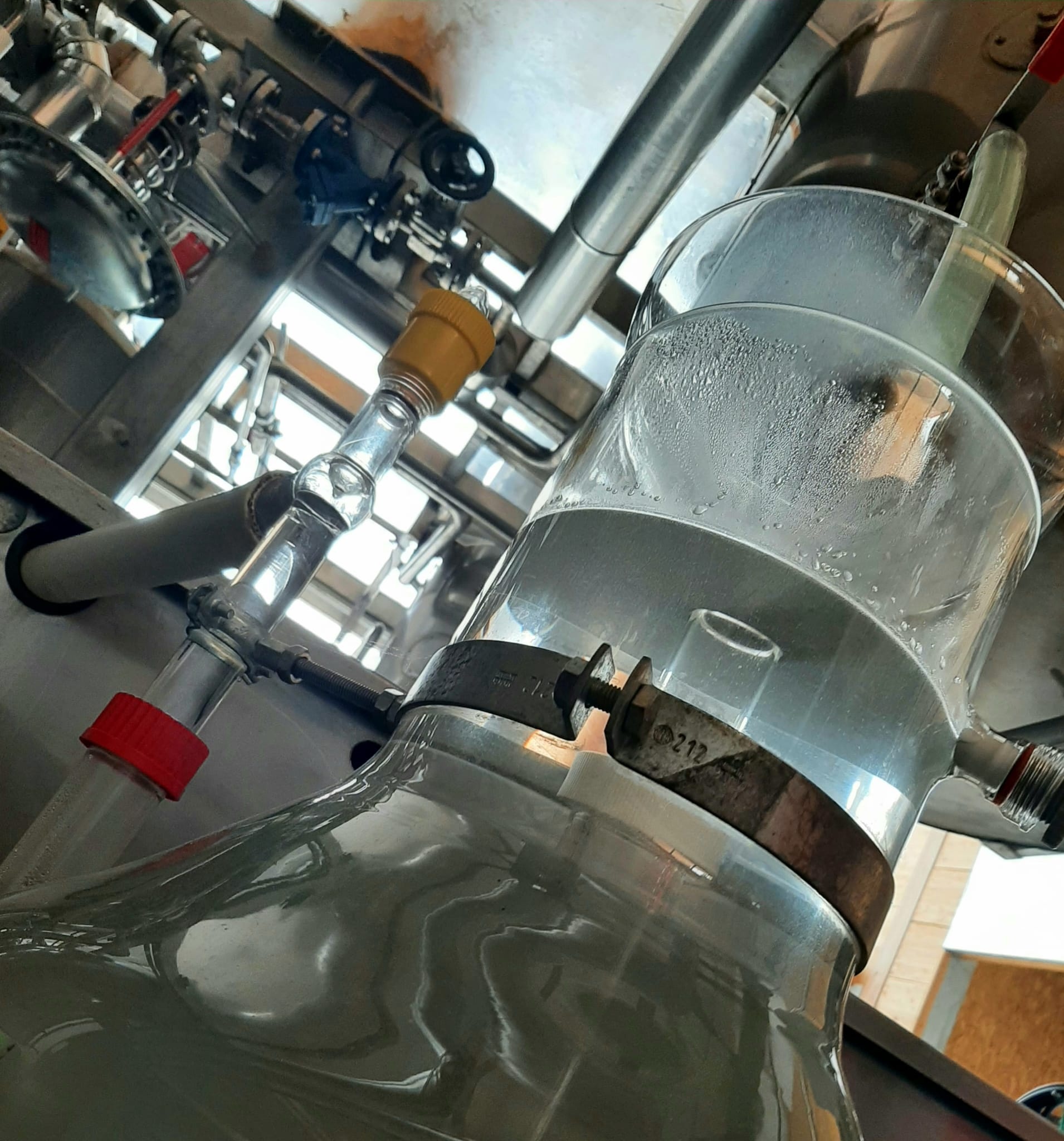 Decouvrez la distillation Kornblumenhydrolat 100% Bio und handwerklich hergestellt