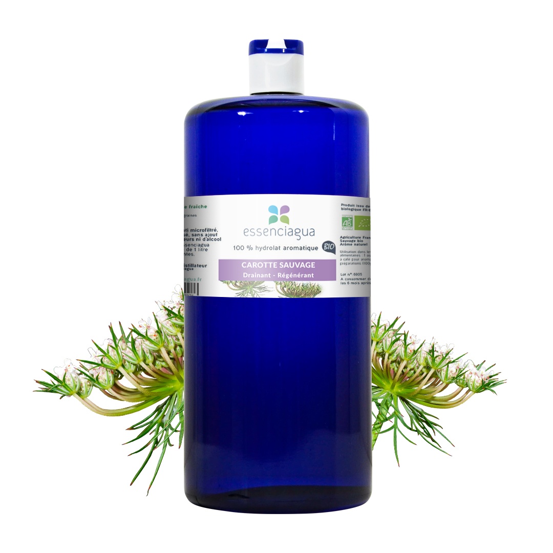 Hydrolat aus Wilder Karotte 100% Bio und handwerklich hergestellt — photo 3