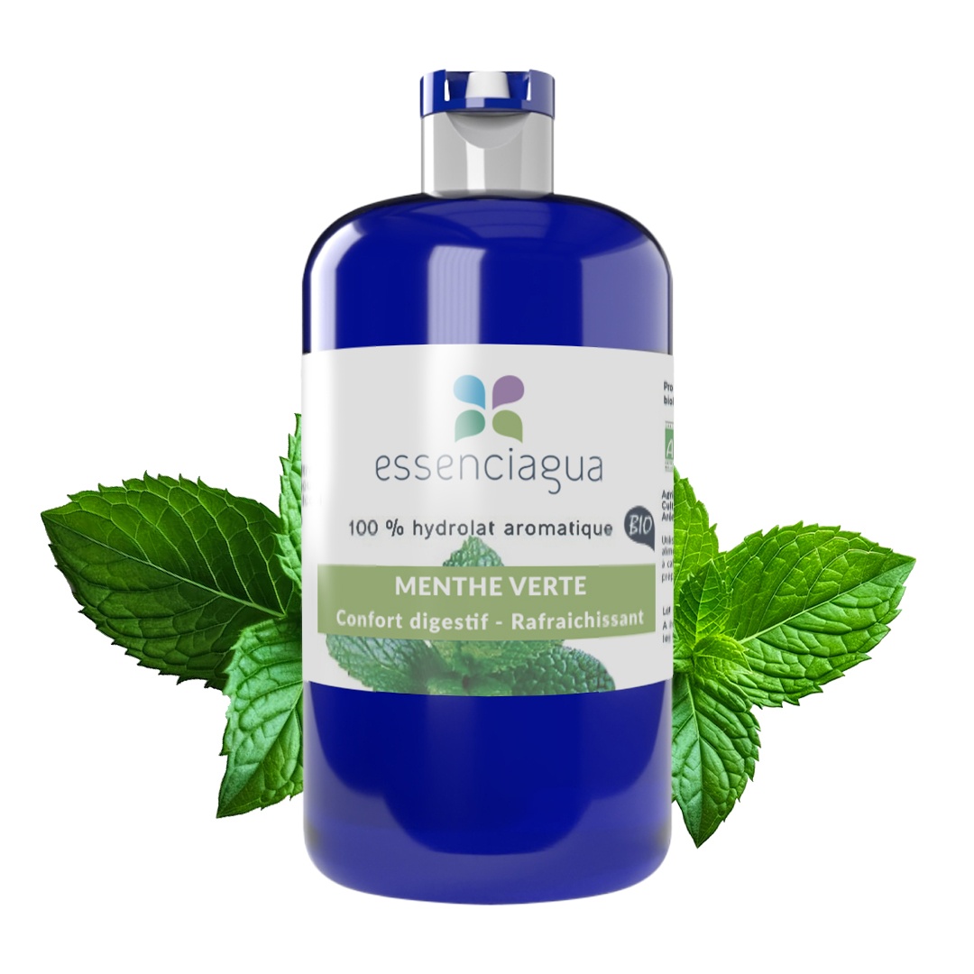 Hydrolat aus Grüner Minze 100% biologisch und handwerklich hergestellt
