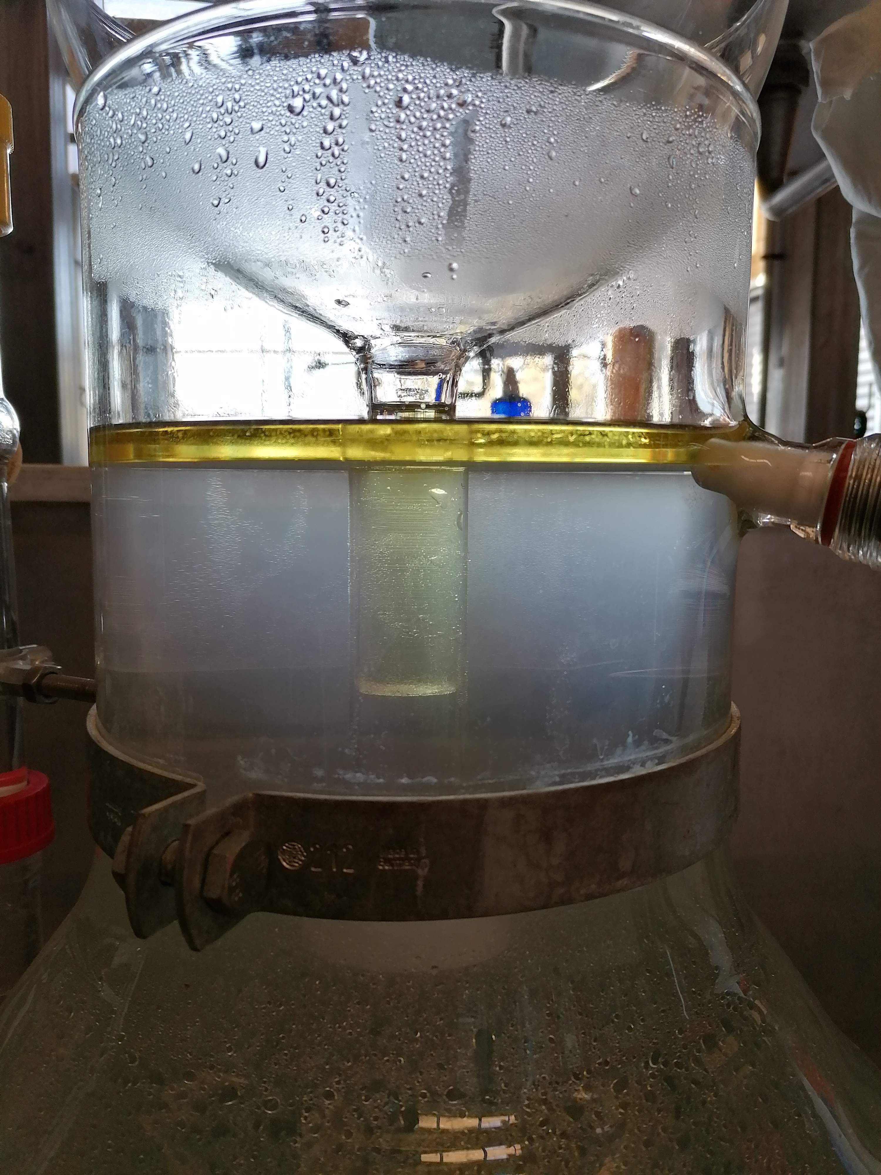 Decouvrez la distillation Hydrolat aus Wilder Karotte 100% Bio und handwerklich hergestellt