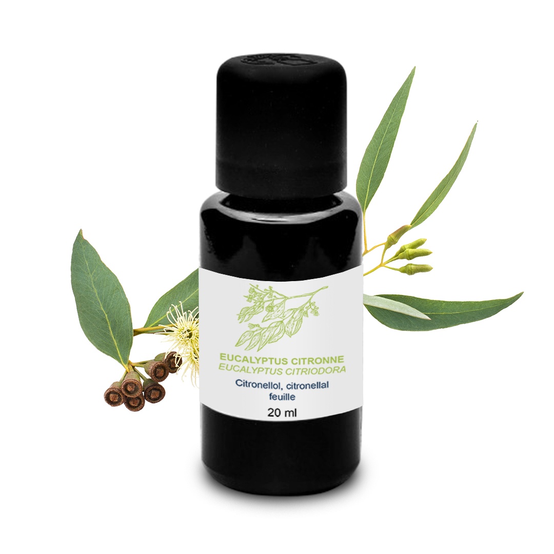 Ätherisches Öl aus Zitronen-Eukalyptus 100% Bio und handwerklich hergestellt