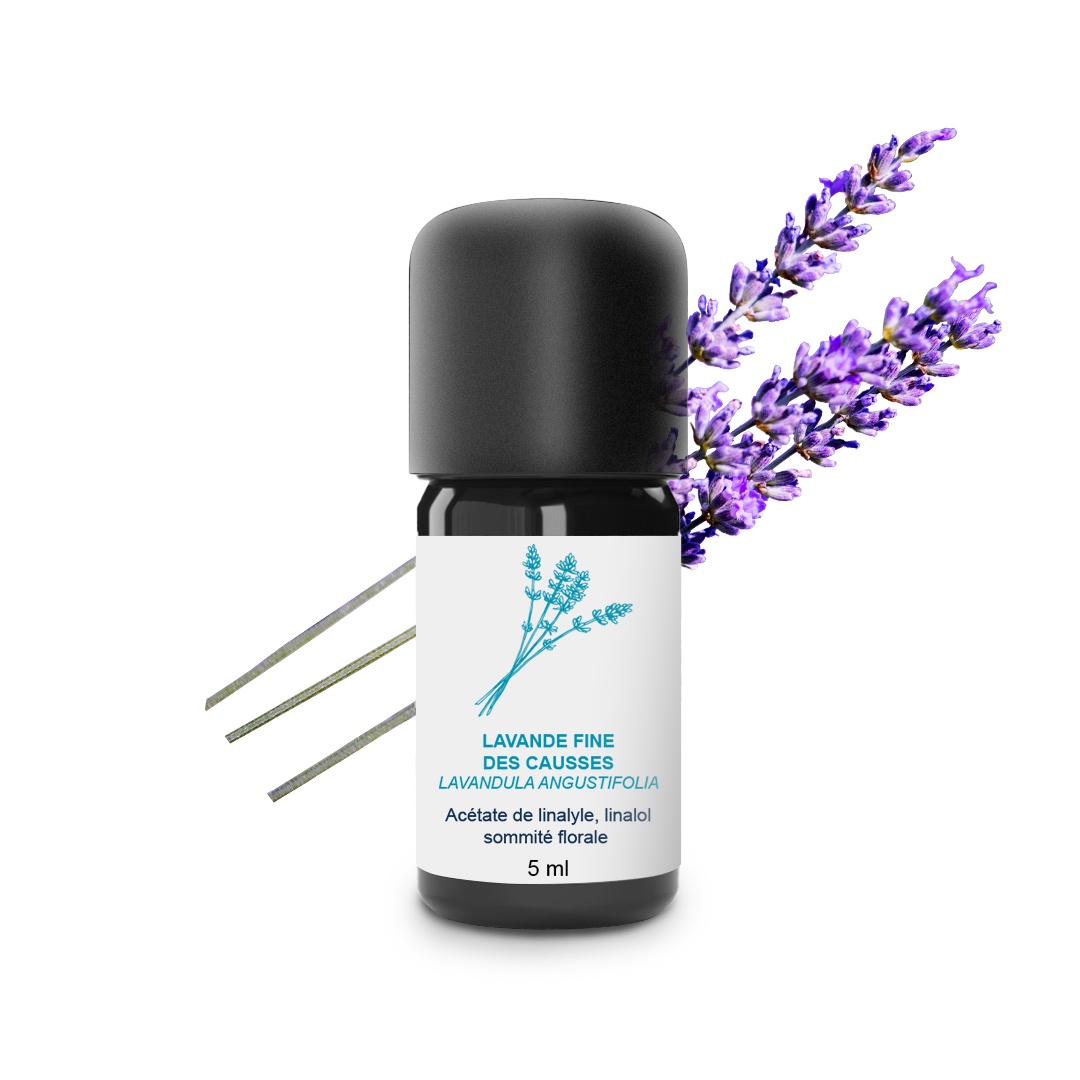 Ätherisches Öl aus feinem Lavendel der Causses 100% Bio und handwerklich hergestellt