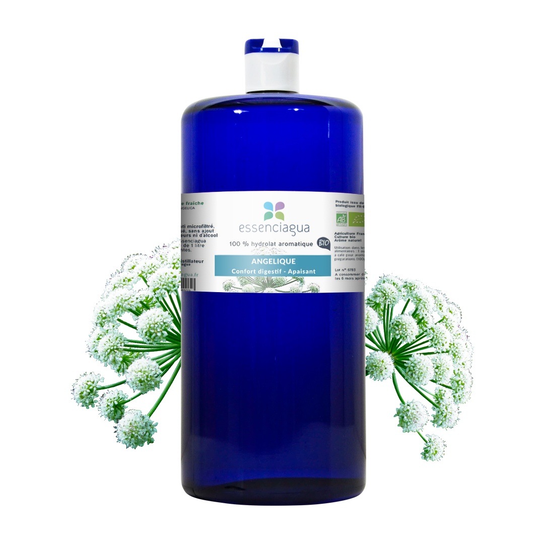 Angelikawurzel-Hydrolat 100% Bio und handwerklich hergestellt — photo 3