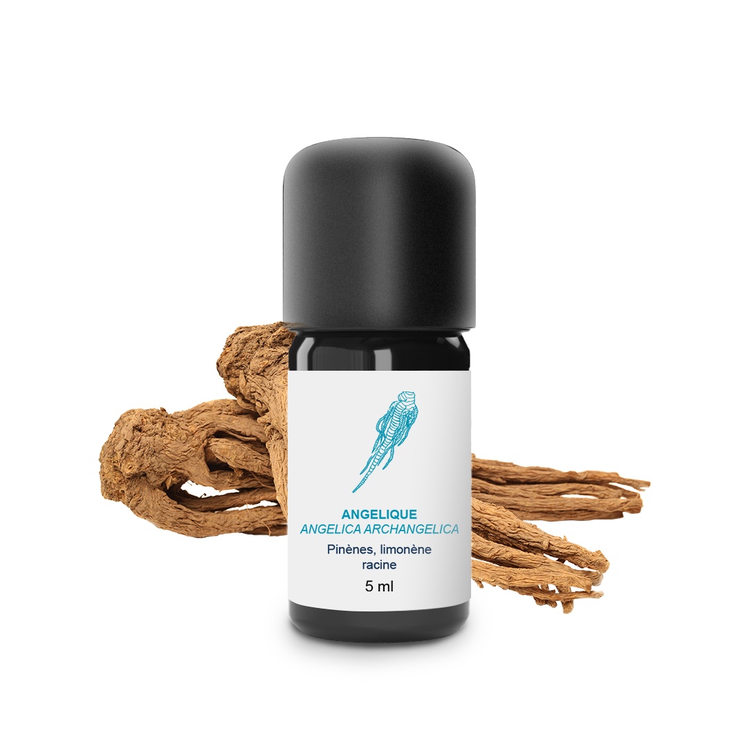 Ätherisches Öl aus Engelwurz (Wurzel) 100% Bio und handwerklich hergestellt