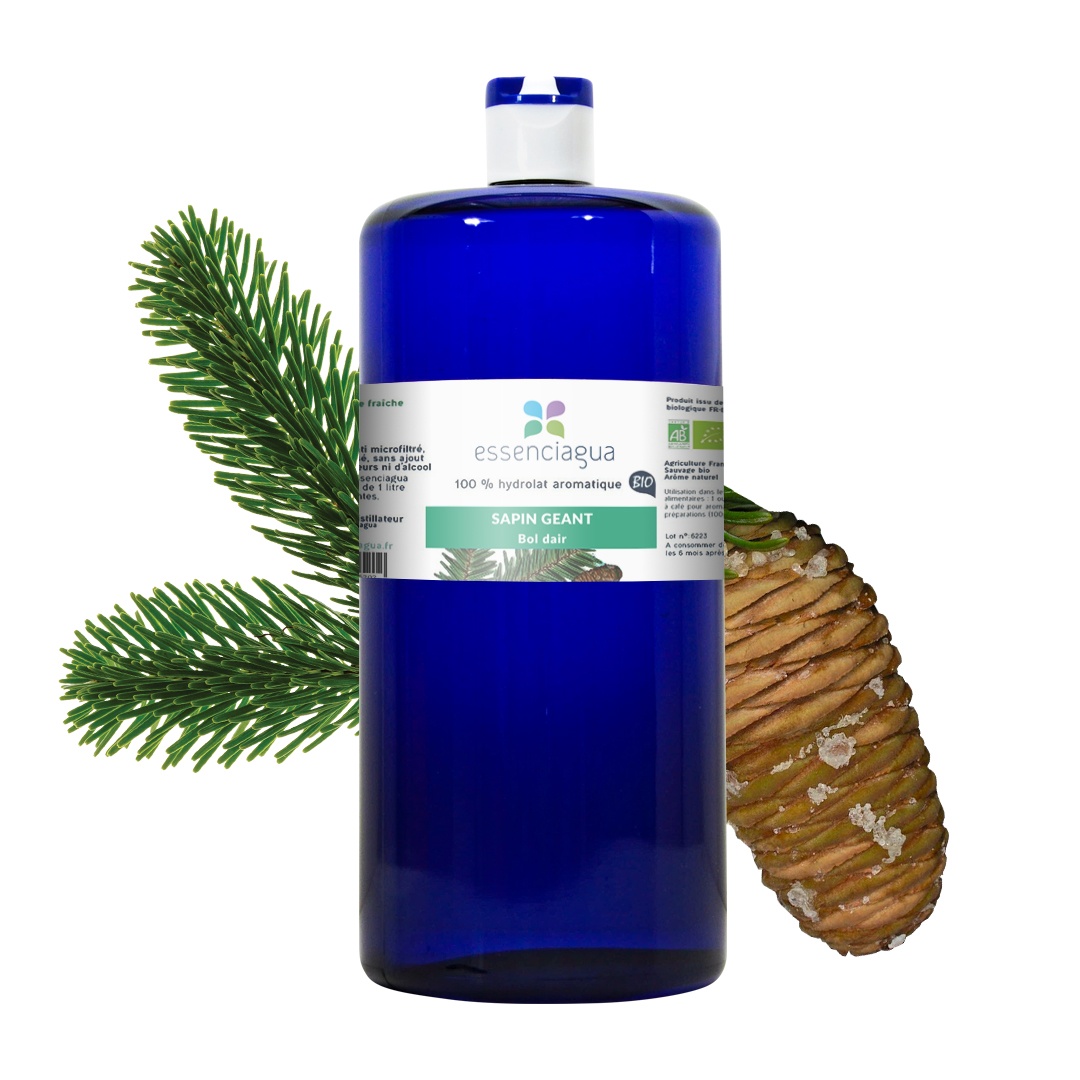 Hydrolat der Riesentanne 100% Bio und handwerklich hergestellt — photo 3