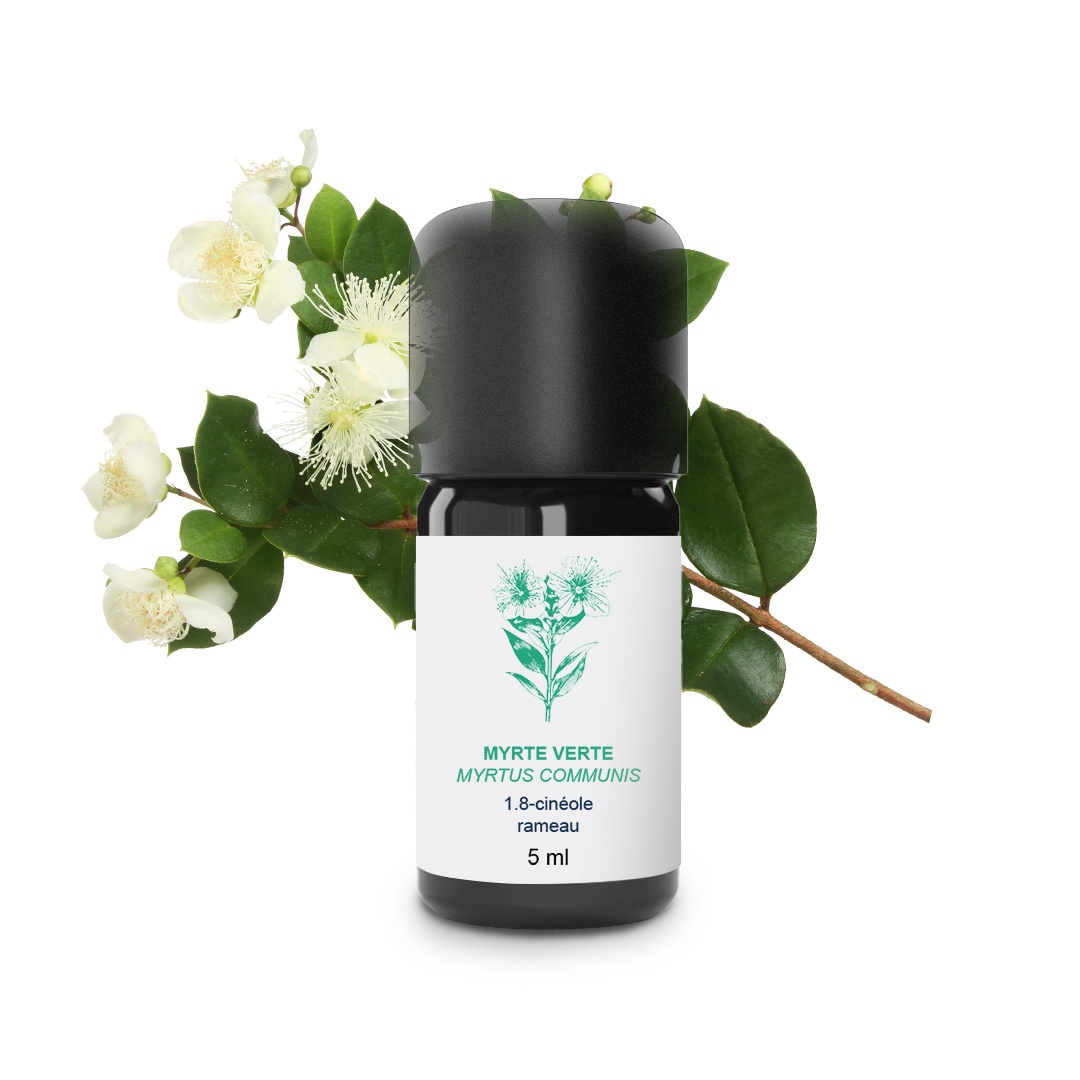 Ätherisches Öl aus Grüner Myrte 100% Bio und handwerklich hergestellt