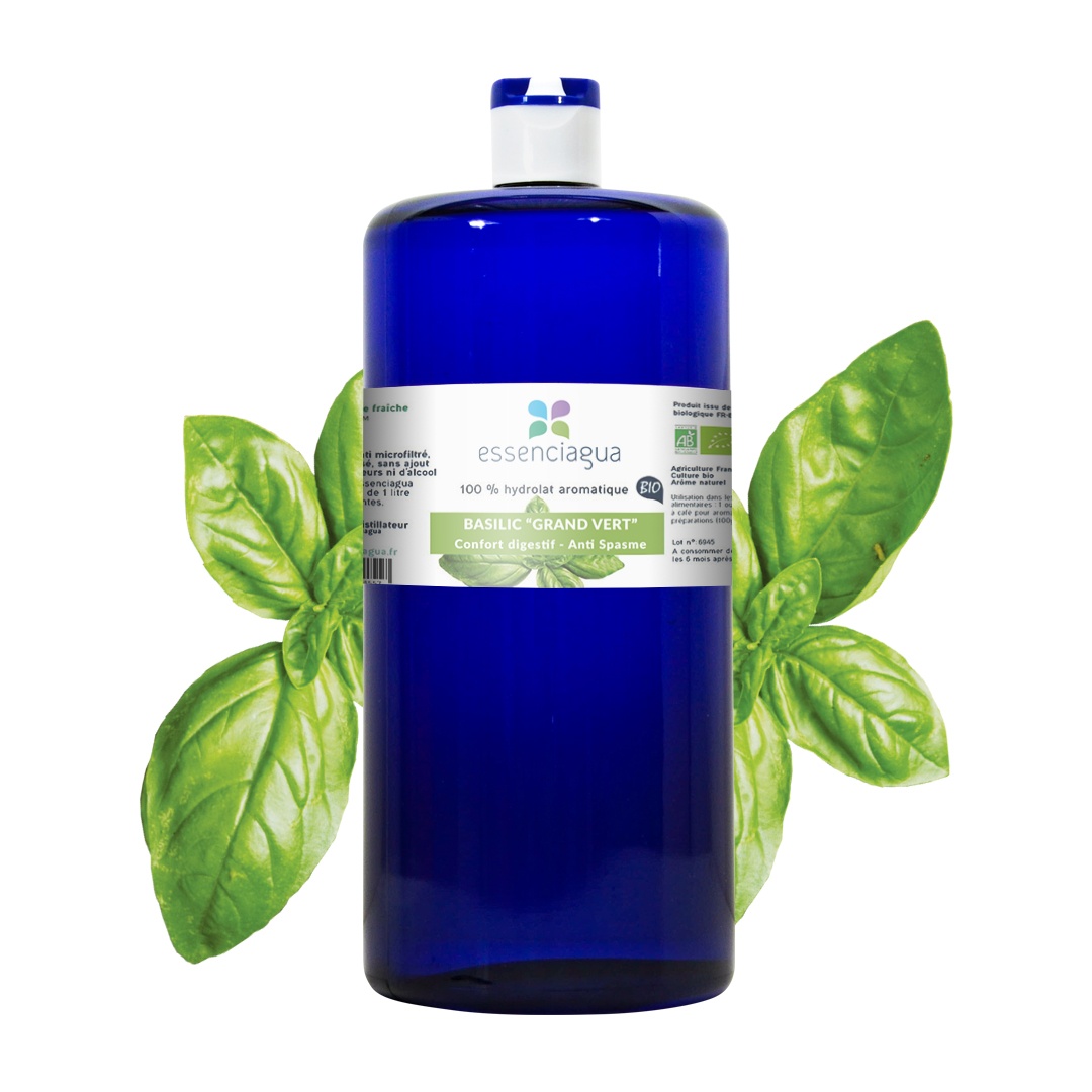 Hydrolat von großem grünem Basilikum 100% Bio und handwerklich hergestellt — photo 3