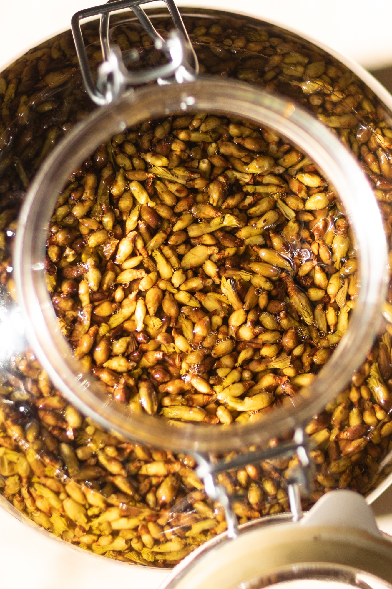 Decouvrez la distillation Schwarze Johannisbeere bio Knospenmazerat 100% Bio und Handgemacht