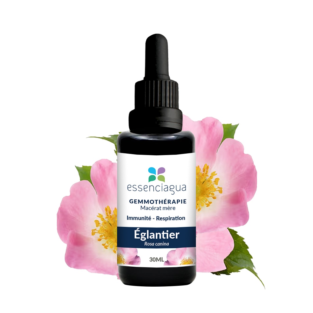 Bio Knospenmazerat Hagebutte 100% Bio und Handgemacht