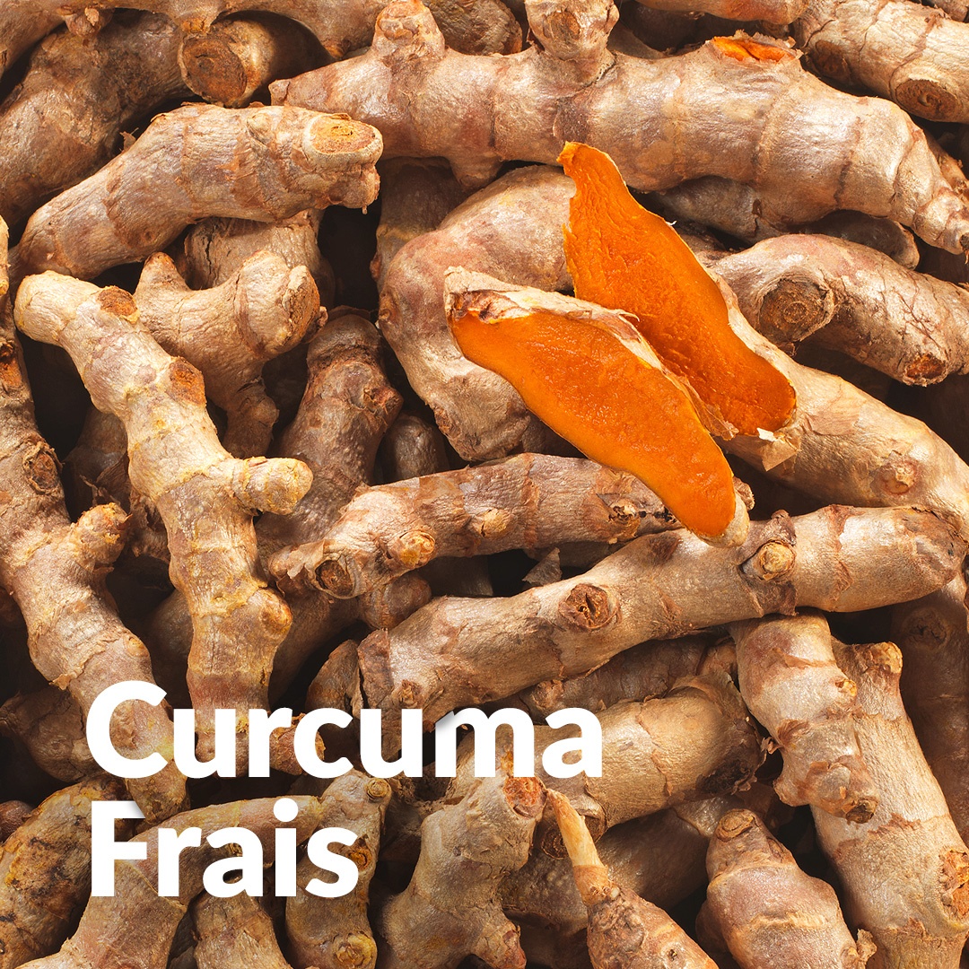 Kurkuma (Rhizom)