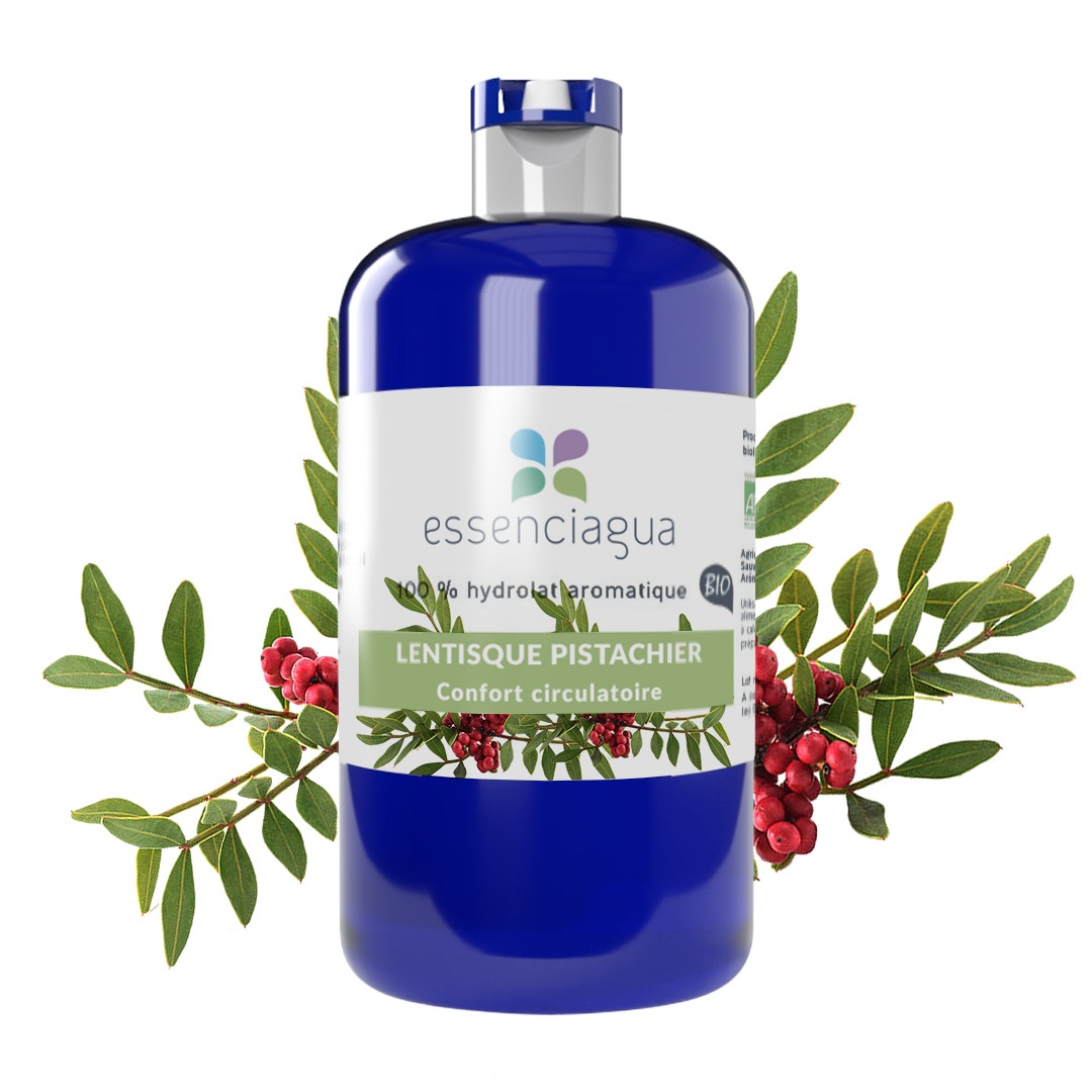 Pistazien-Binsenbaum-Hydrolat 100% Bio und handwerklich hergestellt
