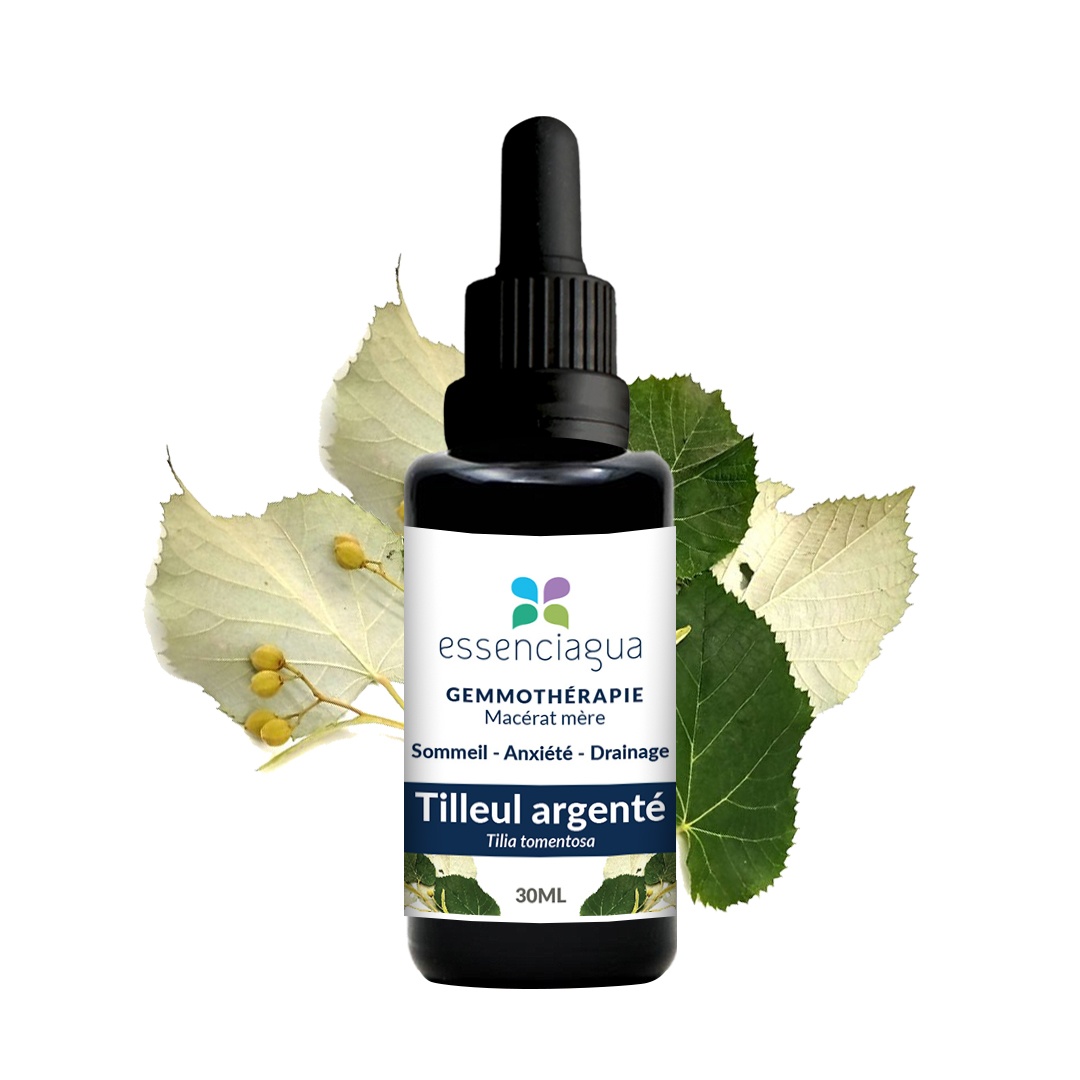 Bio Knospenmazerat Silber-Linde 100% Bio und Handgemacht
